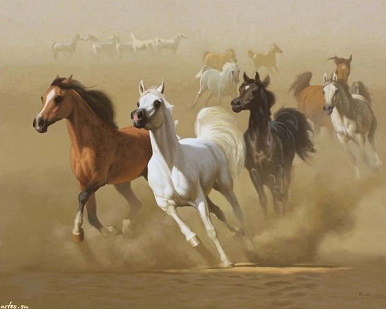 Арабские лошади - табун, лошадь - оригинал