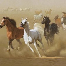 Оригинал схемы вышивки «Арабские лошади» (№2042914)