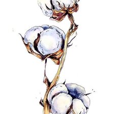 Схема вышивки «Ветка хлопка»