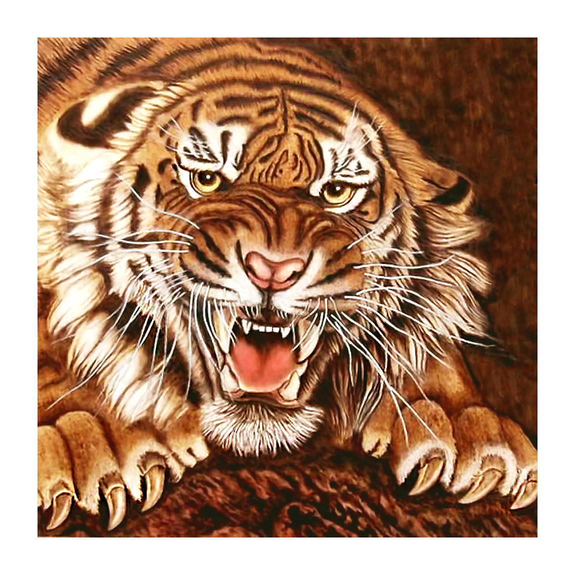 Серия "Хищники". - хищники, животные - оригинал