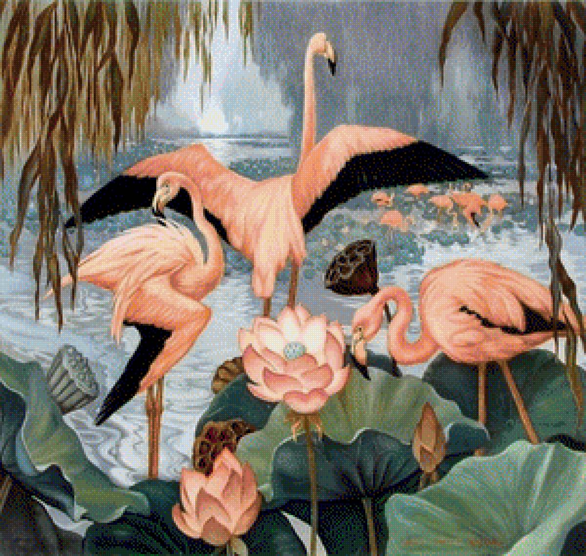 Фламинго - птицы - предпросмотр