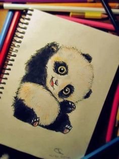 Oso Panda - оригинал