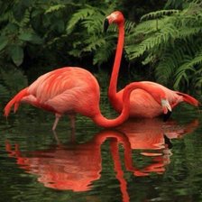 Схема вышивки «№2043164»