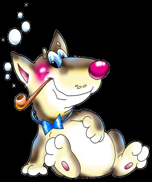 Собака Шерлок - животные, собака, картинка, домашние любимцы - оригинал