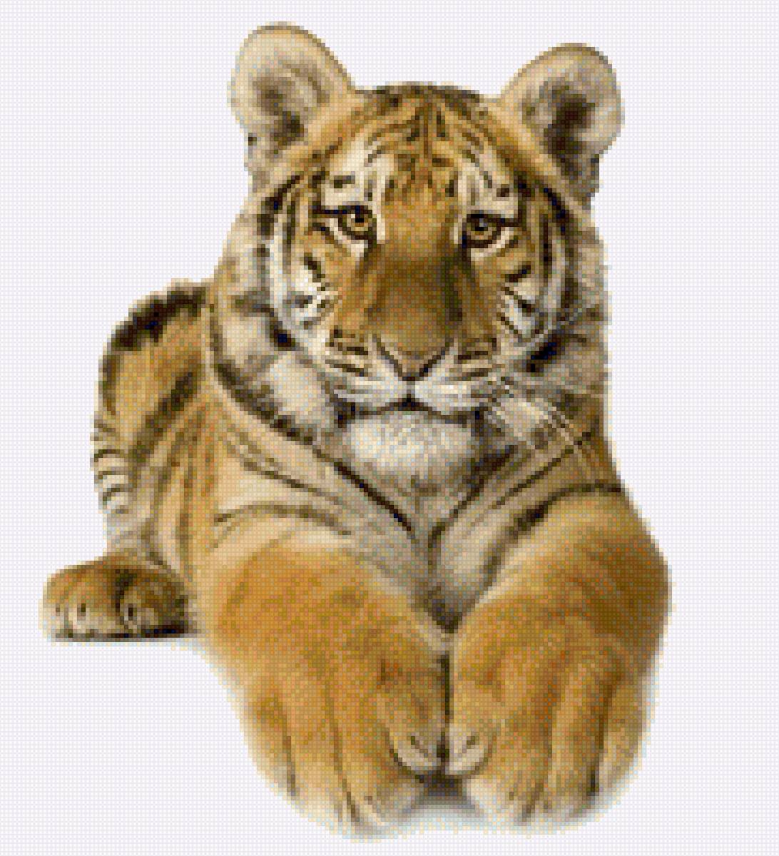 Тигренок - фото, тигр, кошка, дикое животное, хищник - предпросмотр