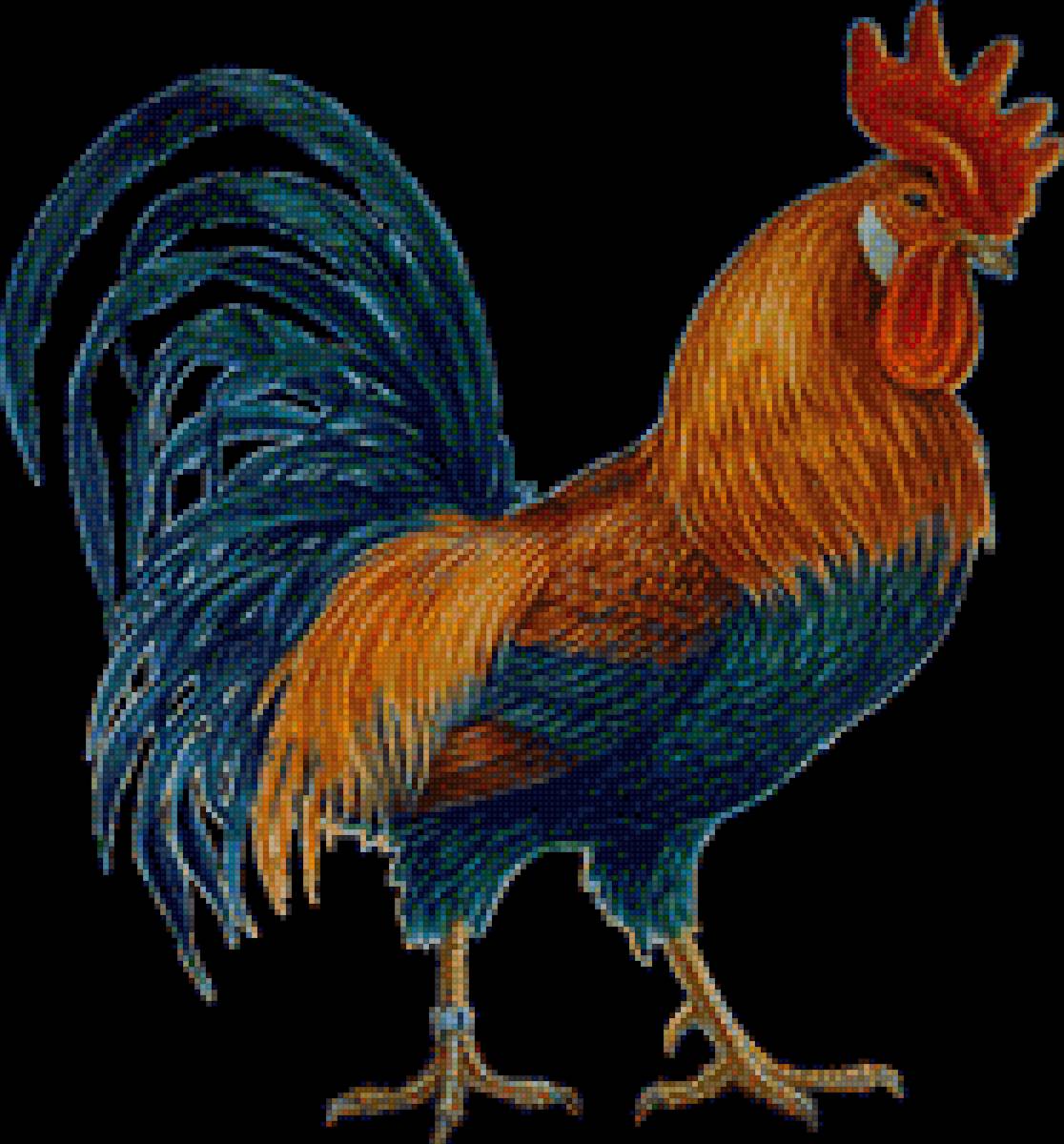 Петух - картинка, петух, птица - предпросмотр