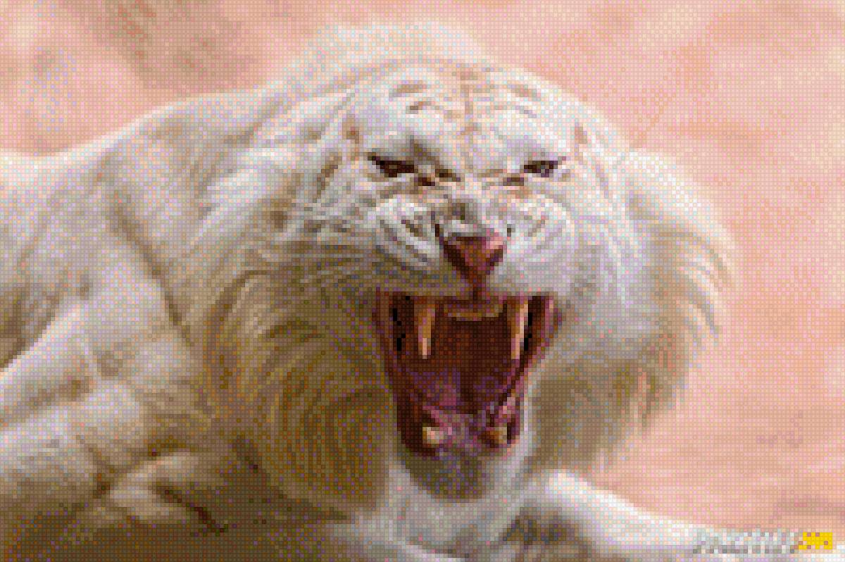 Тигр белый - тигр, дикое животное, кошка, хищник, фото - предпросмотр