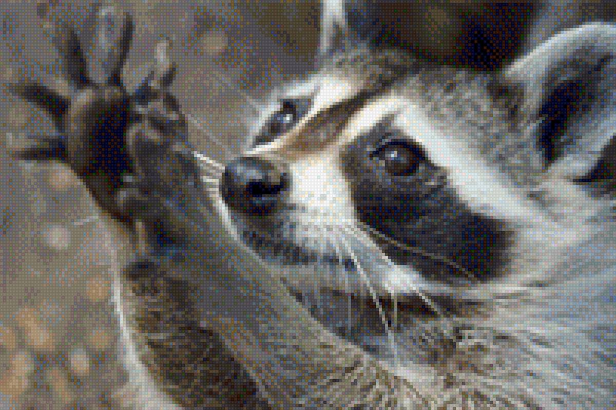 Енот - фото, дикие звери, енот, лесные звери, звери - предпросмотр