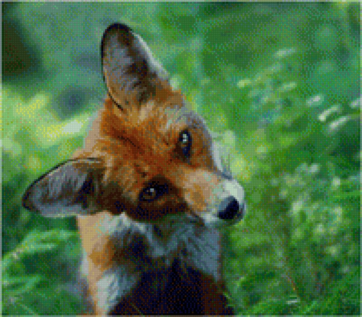 Лисичка - хищник, фото, лиса, дикое животное, лесное - предпросмотр