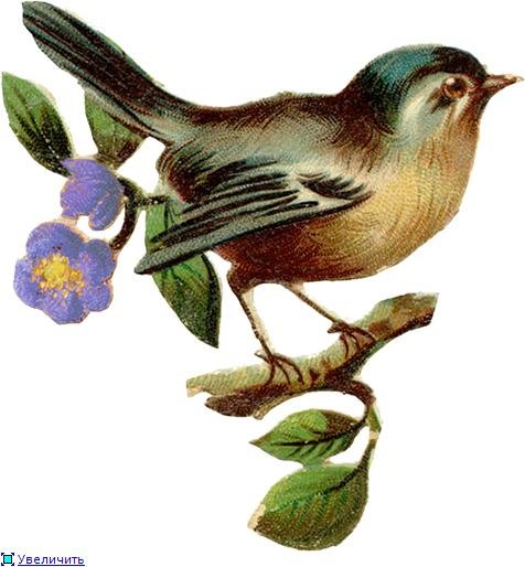 Птицы на ветке - цветы, картина, птицы, ветка - оригинал