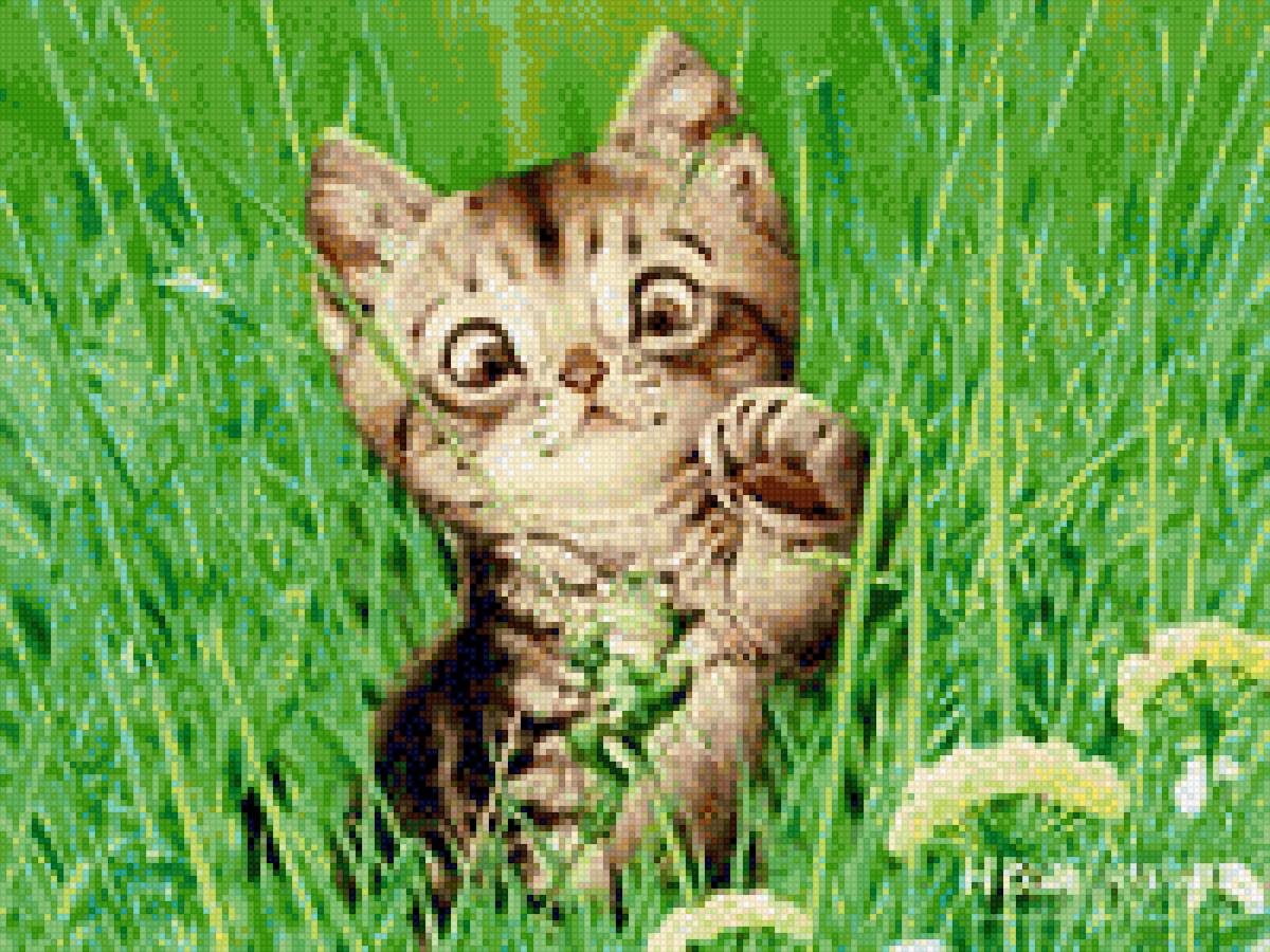 Котенок - котенок, домашние любимцы - предпросмотр