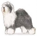 Схема вышивки «Бобтейль»