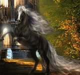 Конь - конь, картина, животные, лошади - оригинал