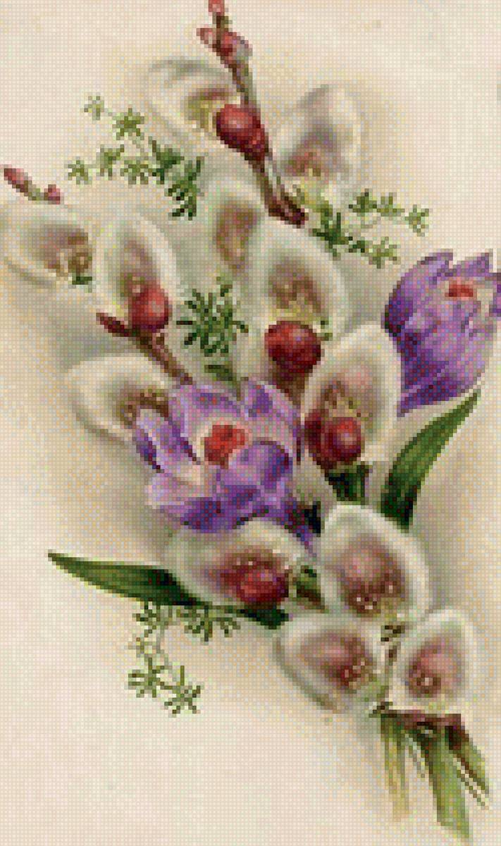 букет - цветы, весна, лоза, букет, крокусы - предпросмотр