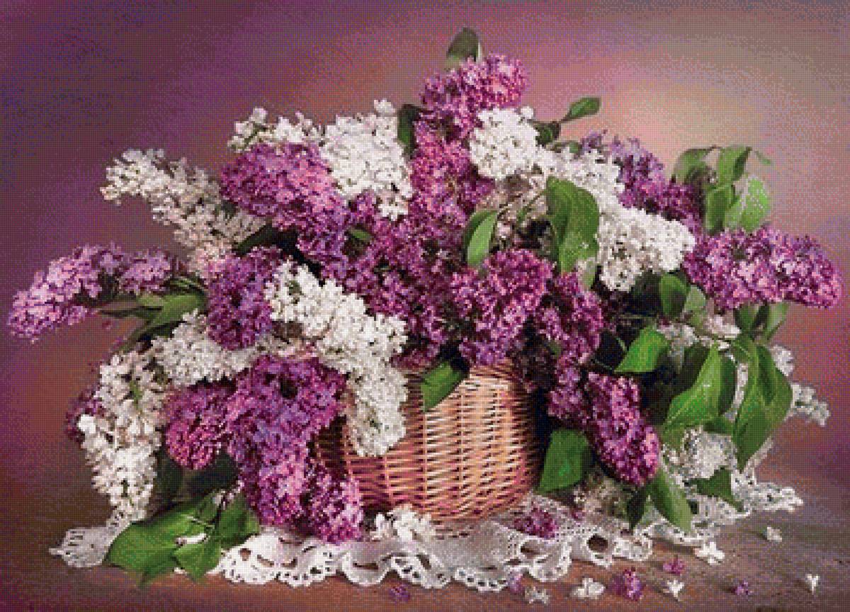 цветы - предпросмотр