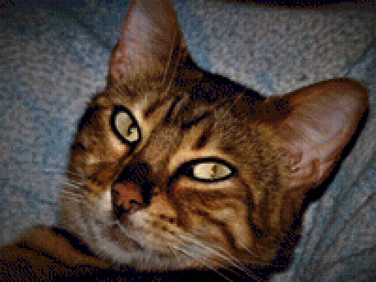 Lizzy cat - cat - предпросмотр