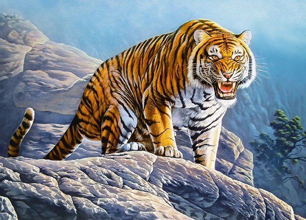 №2043984 - тигры, хищники, тигр, животные - оригинал