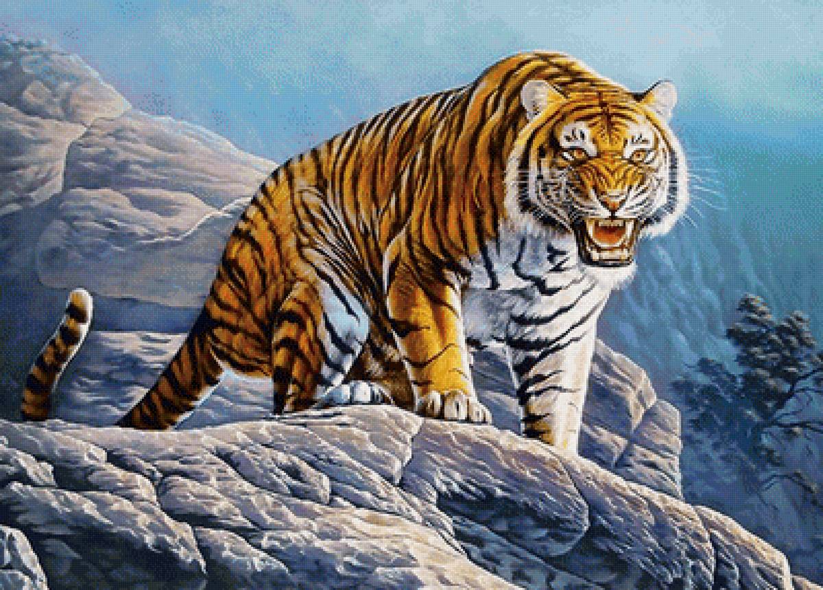 №2043984 - животные, тигр, хищники, тигры - предпросмотр
