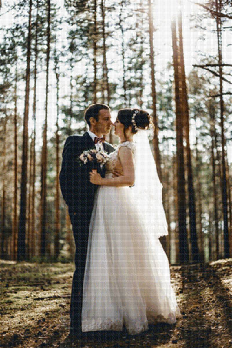 Мы в лесу - предпросмотр