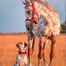 Схема вышивки «№2044390»