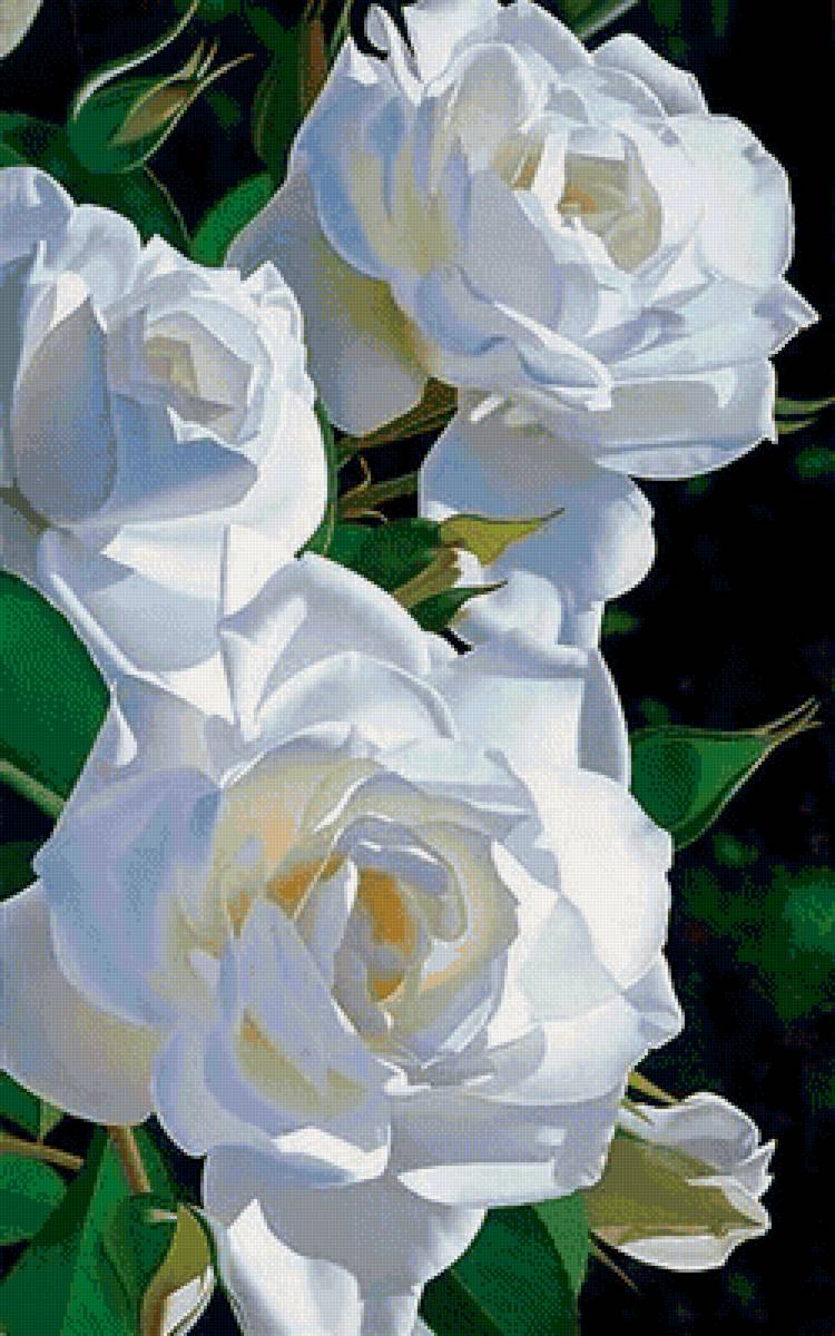 цветы - предпросмотр