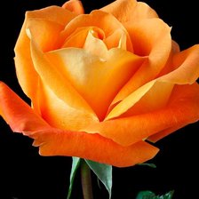 Схема вышивки «Огненная»