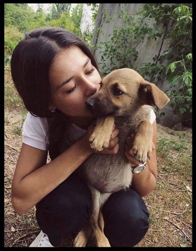 Вечная память Яне Рудомино - волонтер и душа - животные, яна рудомино, милосердие, бездомные, любовь, волонтер - оригинал