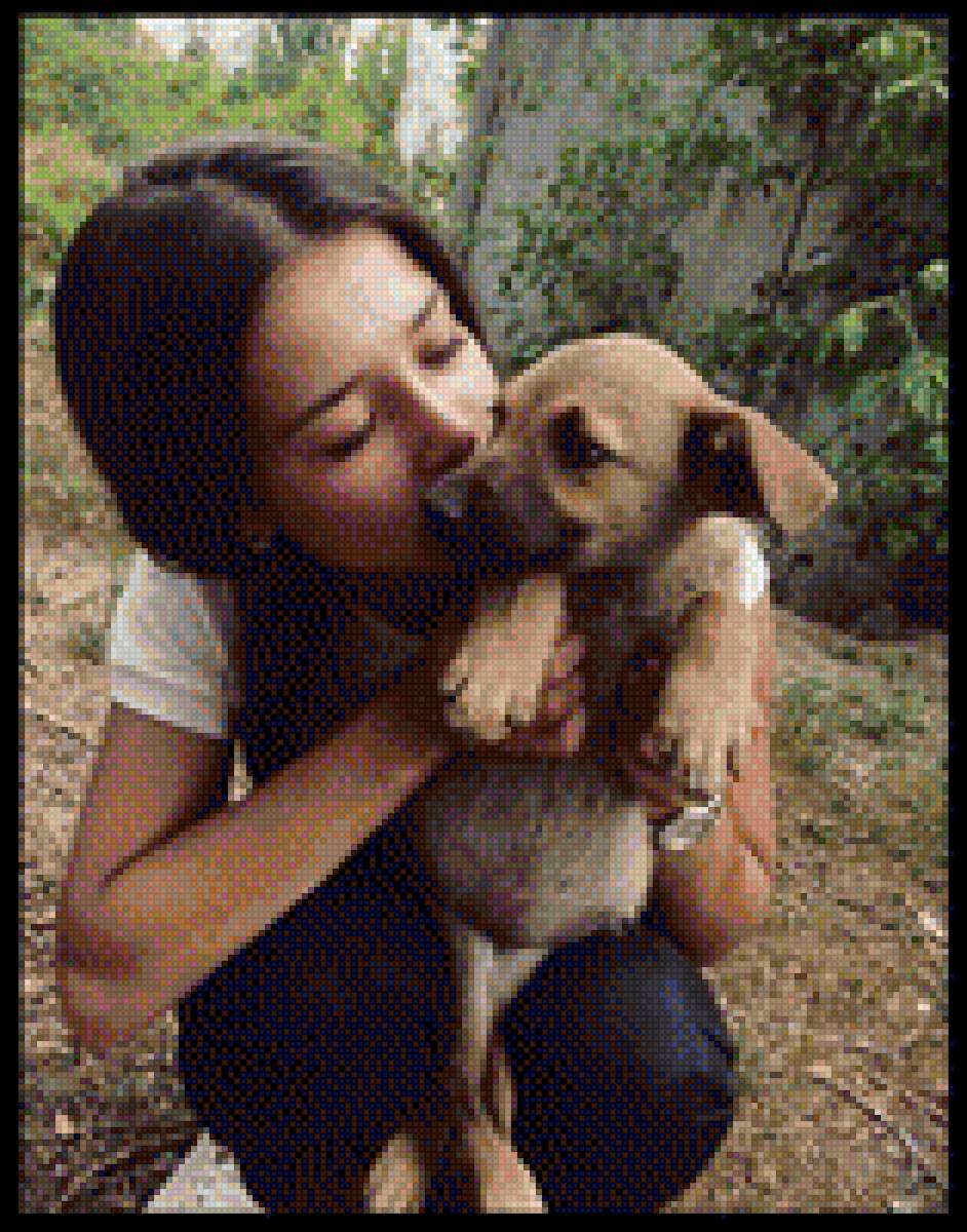 Вечная память Яне Рудомино - волонтер и душа - волонтер, бездомные, любовь, яна рудомино, животные, милосердие - предпросмотр