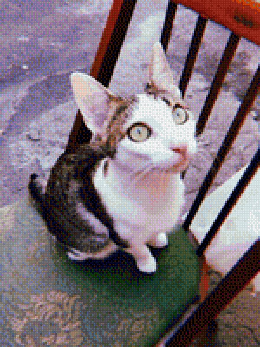 Кошка на стуле - животные, кошка, домашние любимцы - предпросмотр