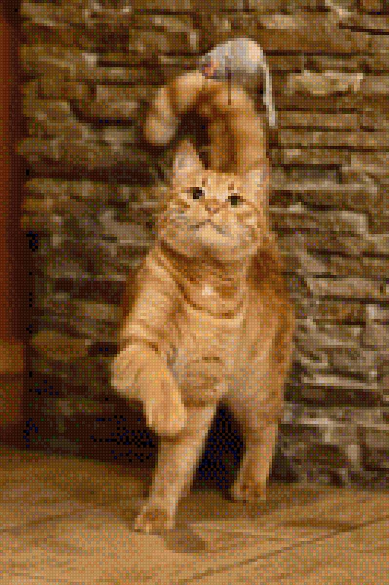 Рыжик - фото, домашние любимцы, кот - предпросмотр