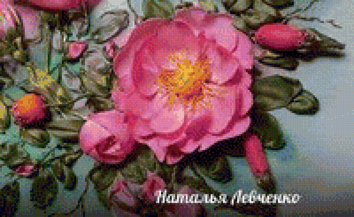 Шиповник - куст, растение, шиповник, цветок, сад, фото - предпросмотр