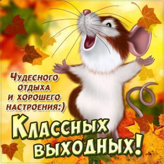 Пожелания - пожелания, открытка, мышка - оригинал