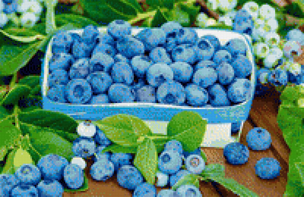 Голубика - голубика, растение, ягода - предпросмотр