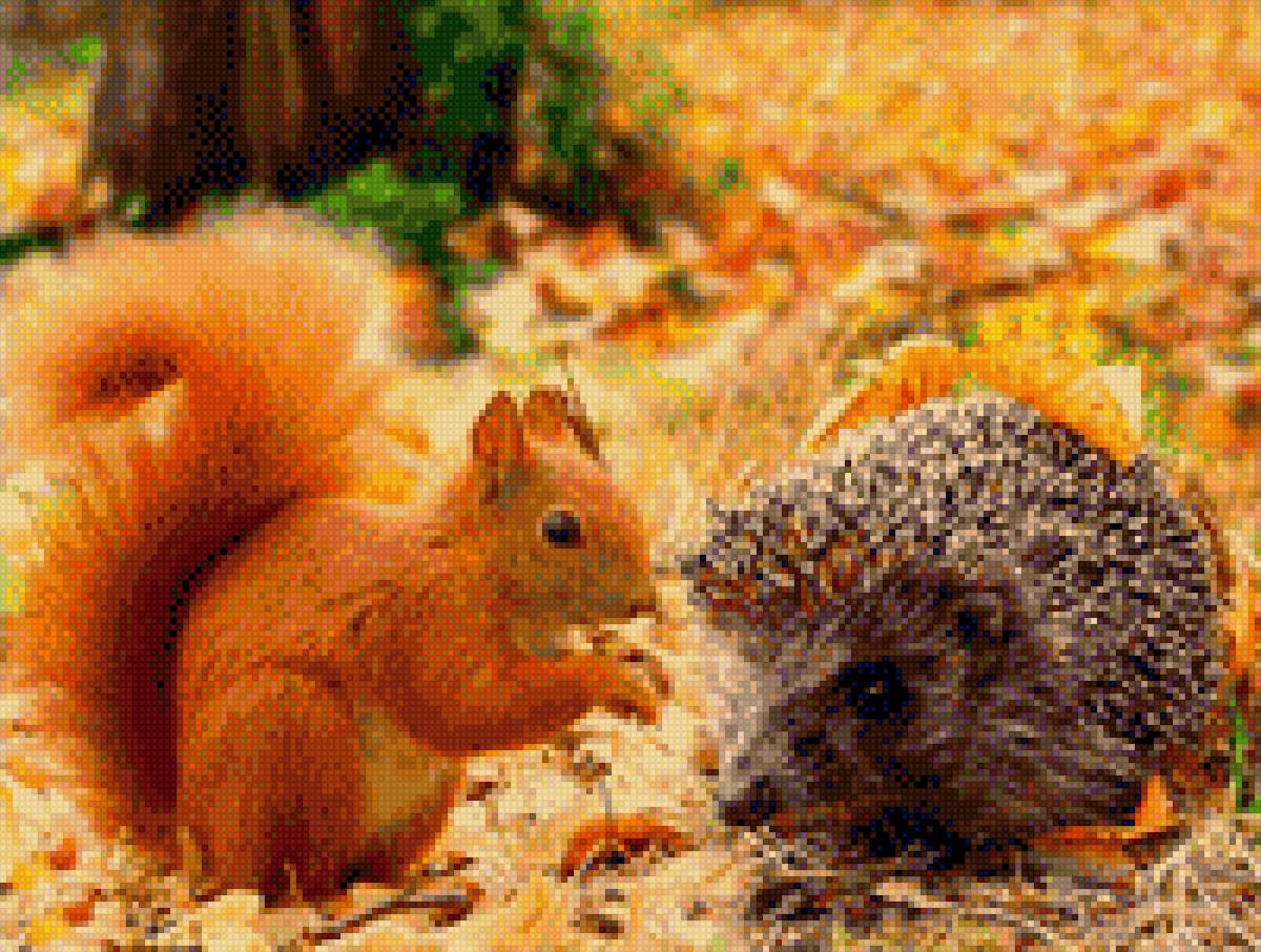 Белка и ёж - лес, парк, еж, белка, осень, животные - предпросмотр