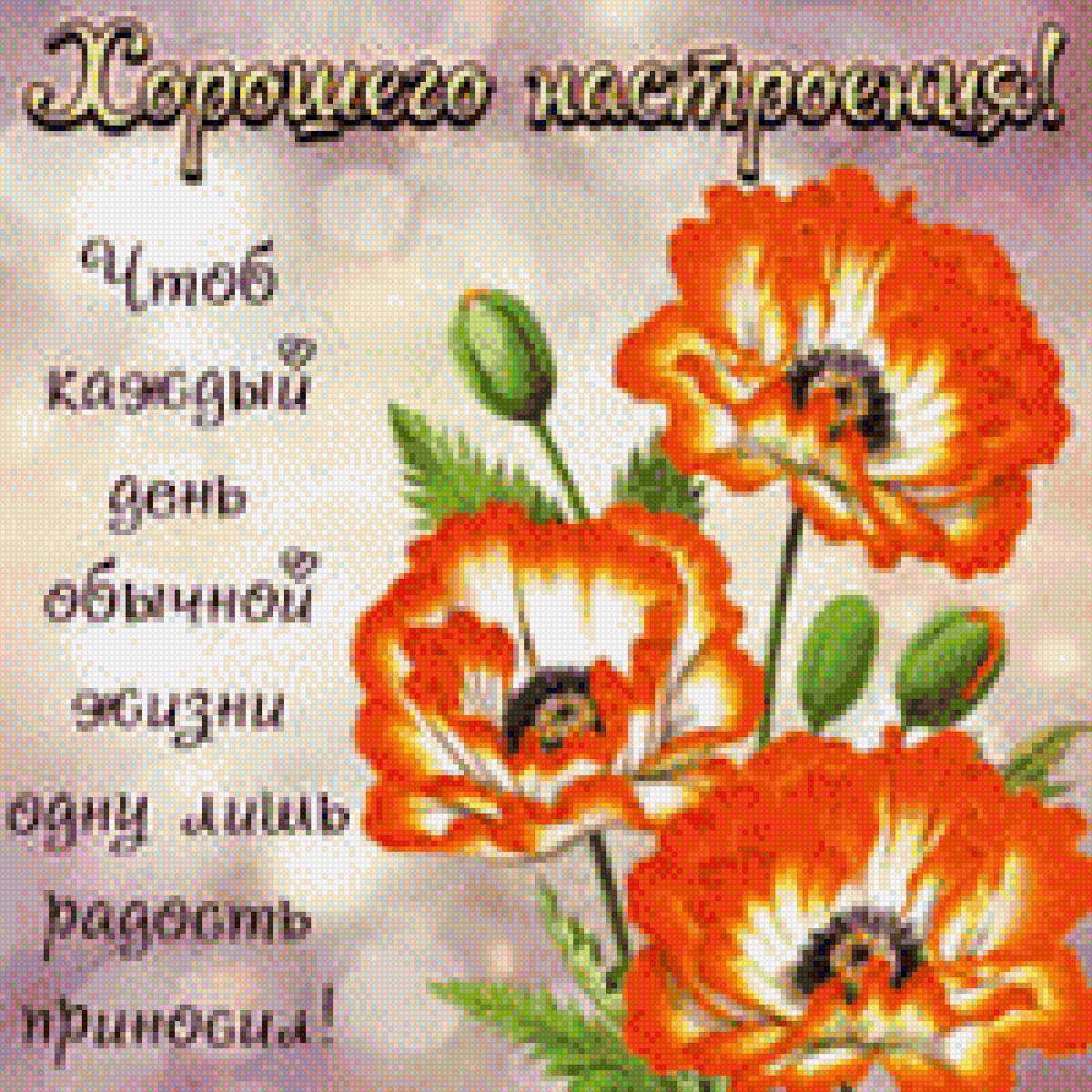 Пожелания - маки. поздравления, открытка, пожелания - предпросмотр