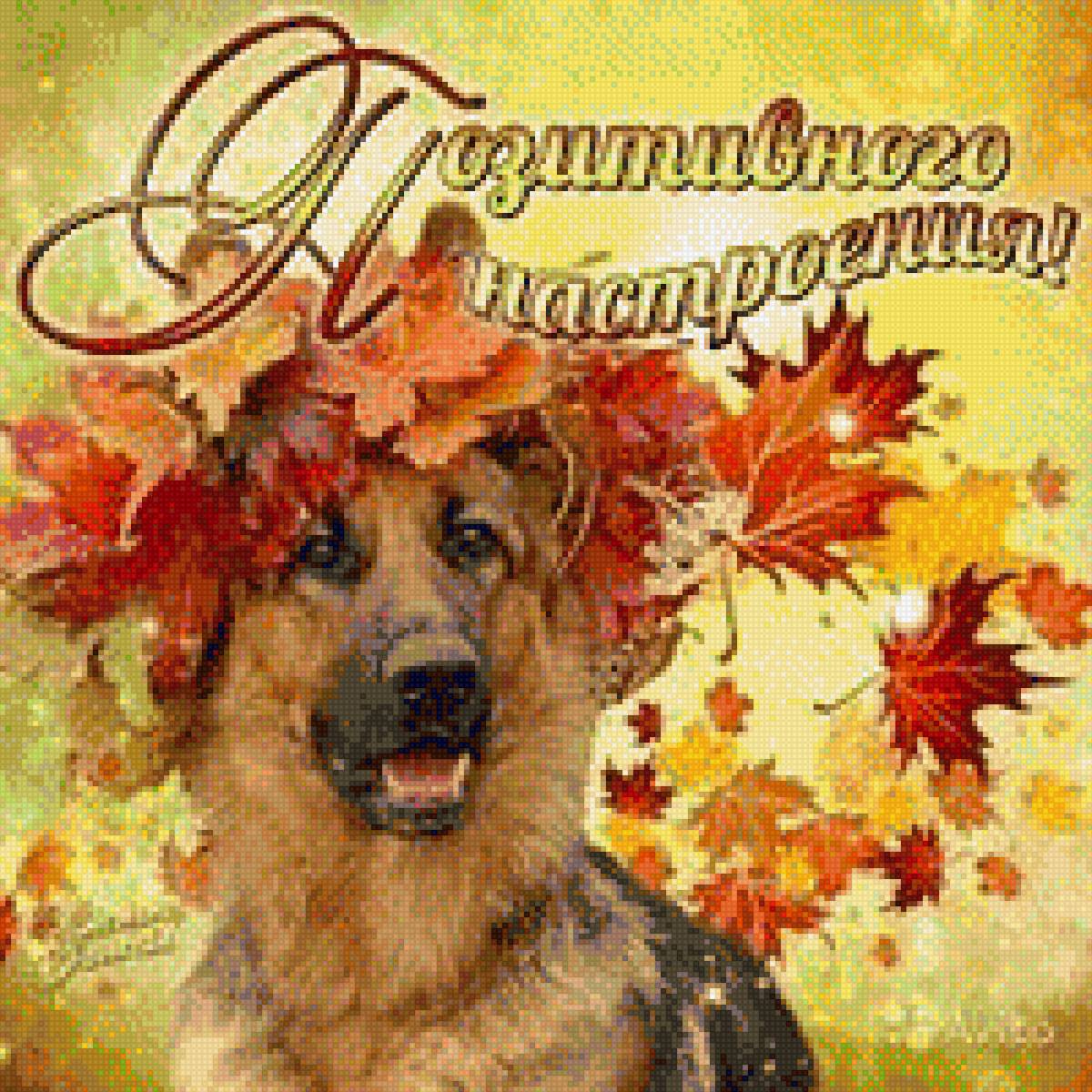 Позитивного настроения - овчарка, листья, собака, открытка, поздравление - предпросмотр