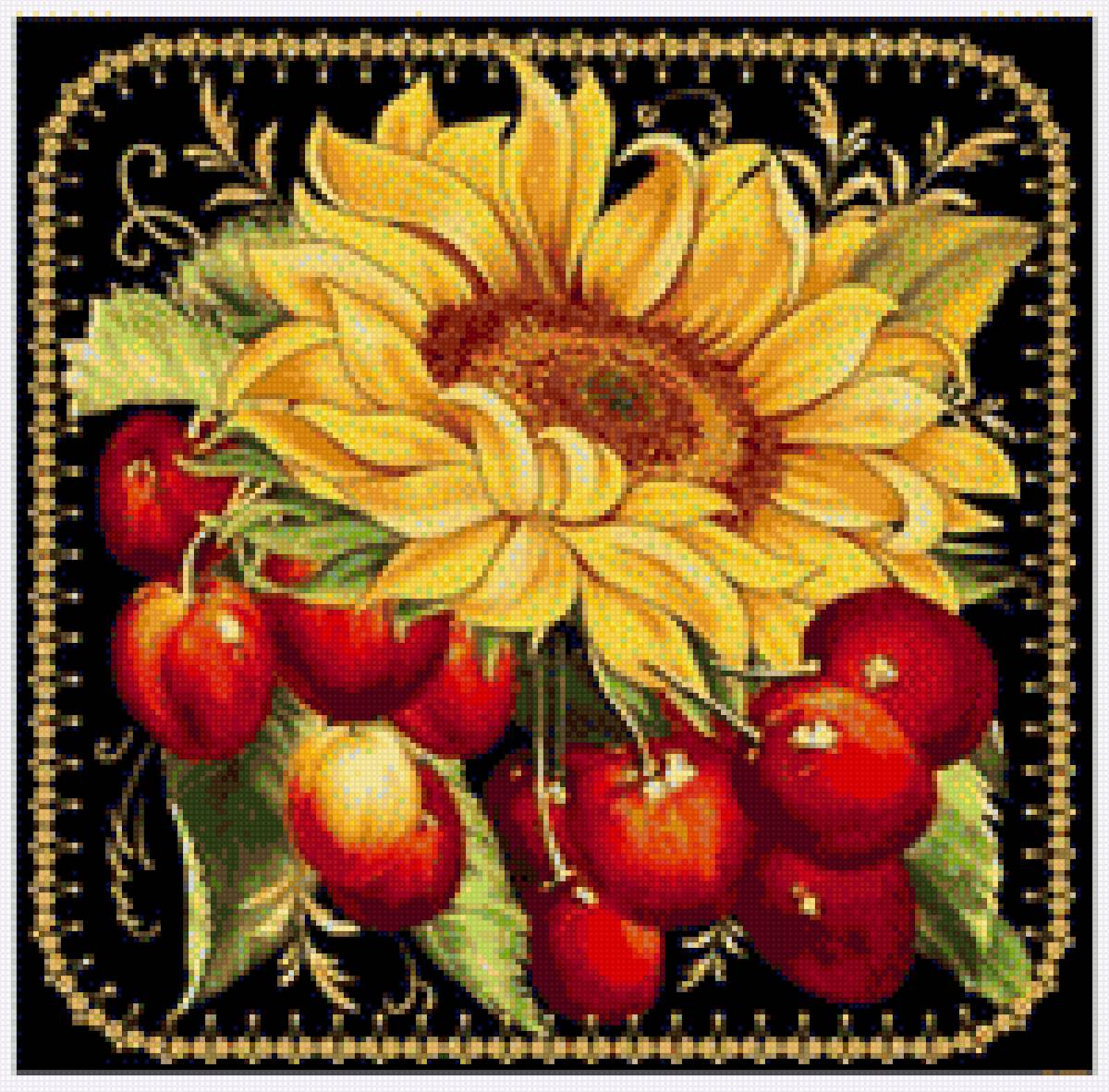 Подсолнухи с черешнями - подсолнухи, растения, цветы, черешни, ягоды, фрукты, картинка - предпросмотр