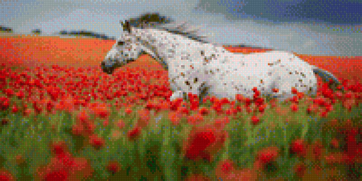 Конь в маковом поле - животные, картина, конь, поле, лошади, маки - предпросмотр
