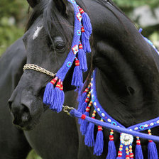 Оригинал схемы вышивки «Конь арабский» (№2045057)