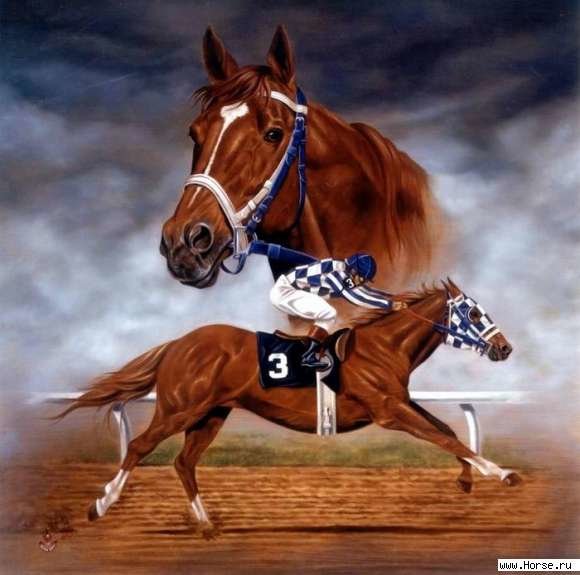 Конный спорт - спорт, лошади, конь, животные, наездник, картина - оригинал