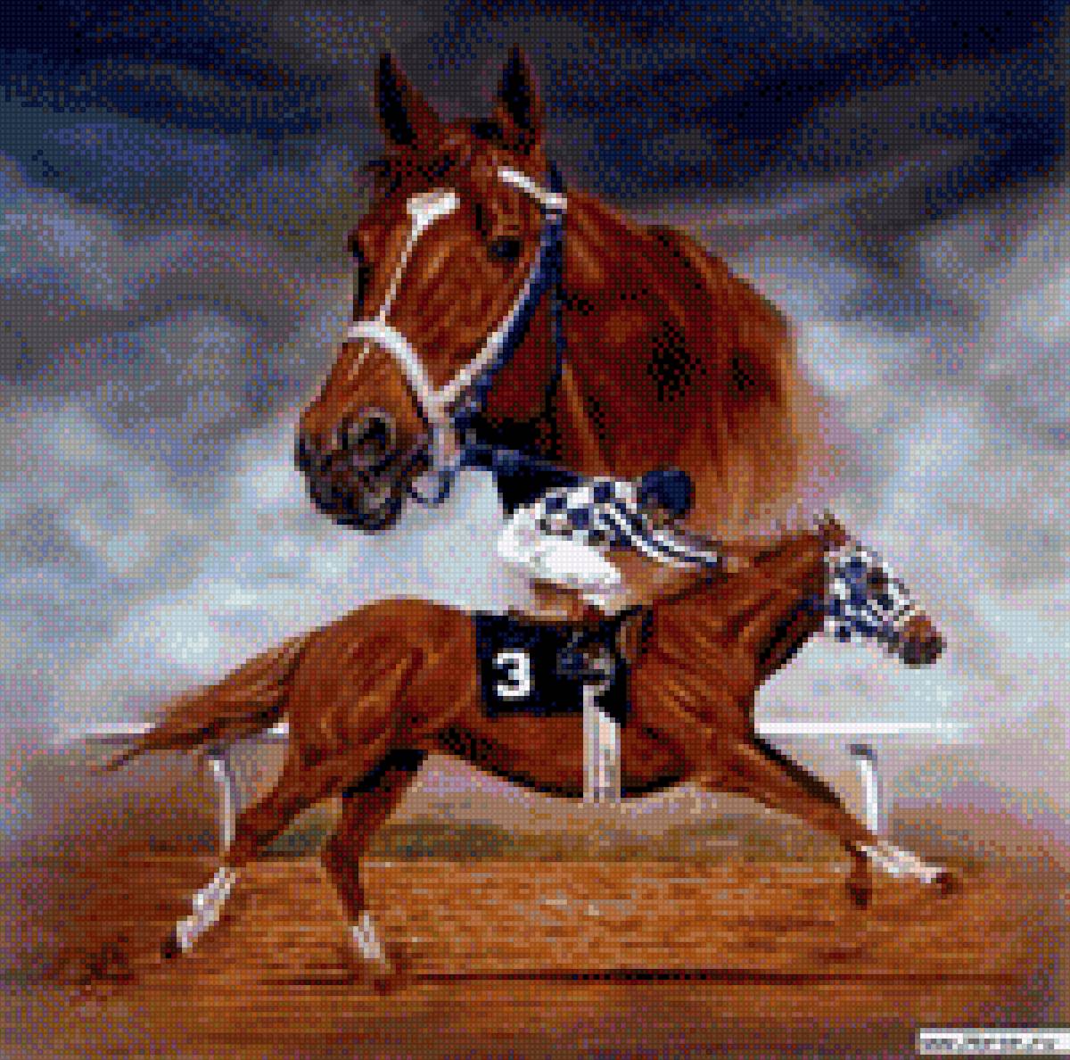 Конный спорт - спорт, картина, конь, лошади, животные, наездник - предпросмотр