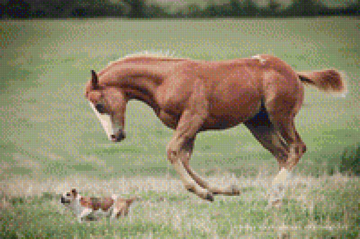 Жеребенок и собака - конь, животные, лошади, собака, жеребенок, картина - предпросмотр