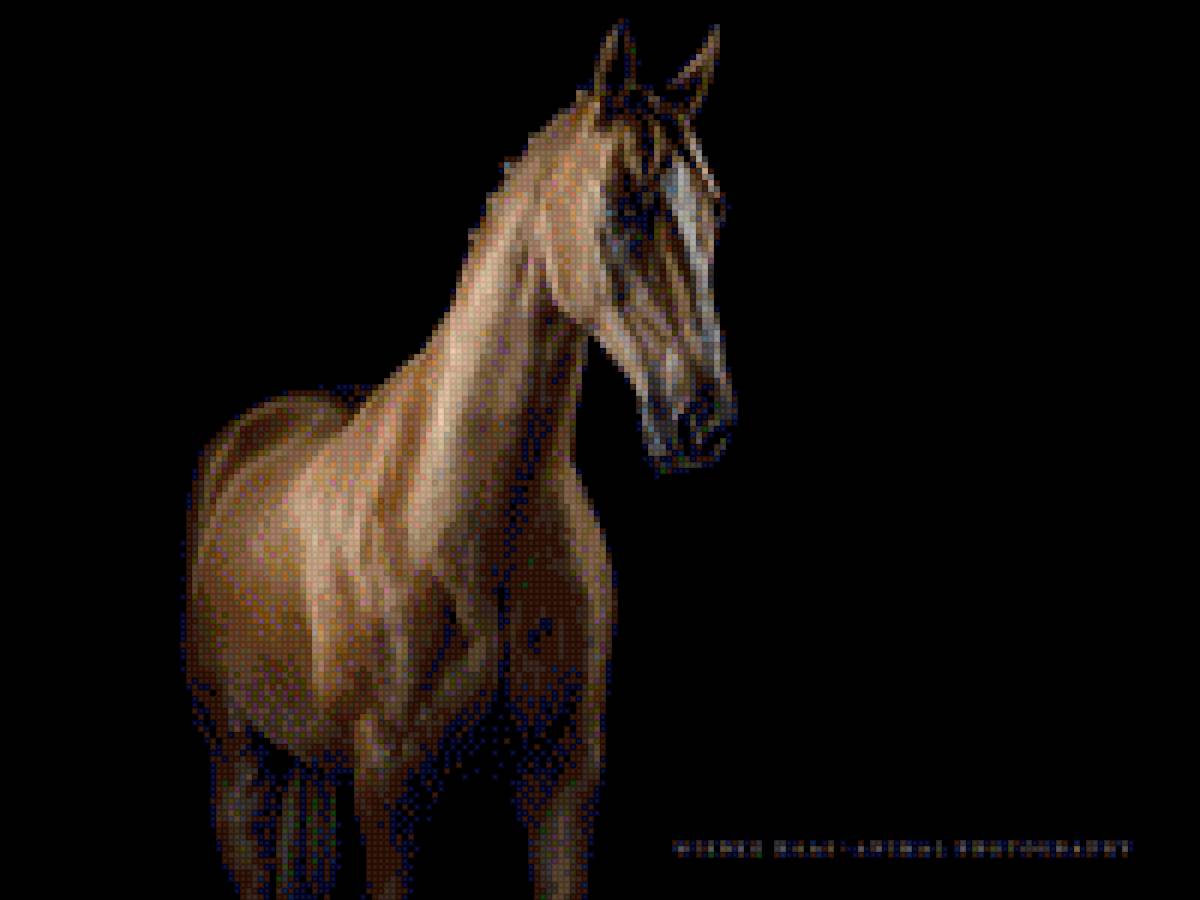 Конь - лошади, картина, конь, животные - предпросмотр