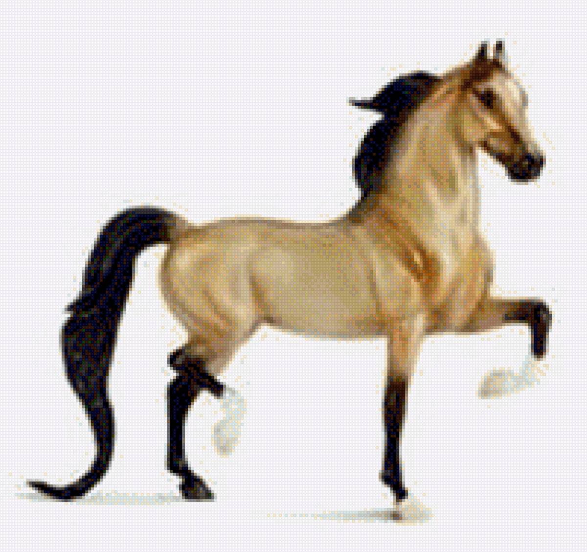 Конь - животные, лошади, картина, конь - предпросмотр