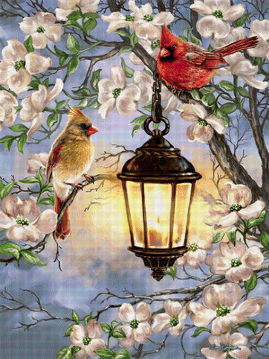 vtaci,svetlo,kvety - предпросмотр