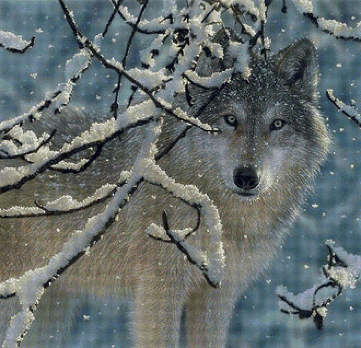 дикие - предпросмотр