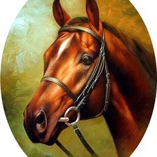 Схема вышивки «лошадь»