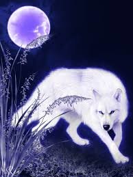 Луна и белая волчица - луна, волчица, небо, фото, космос, планеты, картина - оригинал