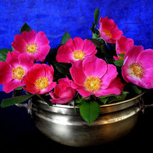 Схема вышивки «№2046080»