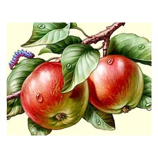 Схема вышивки «Яблоки и гусеница.»